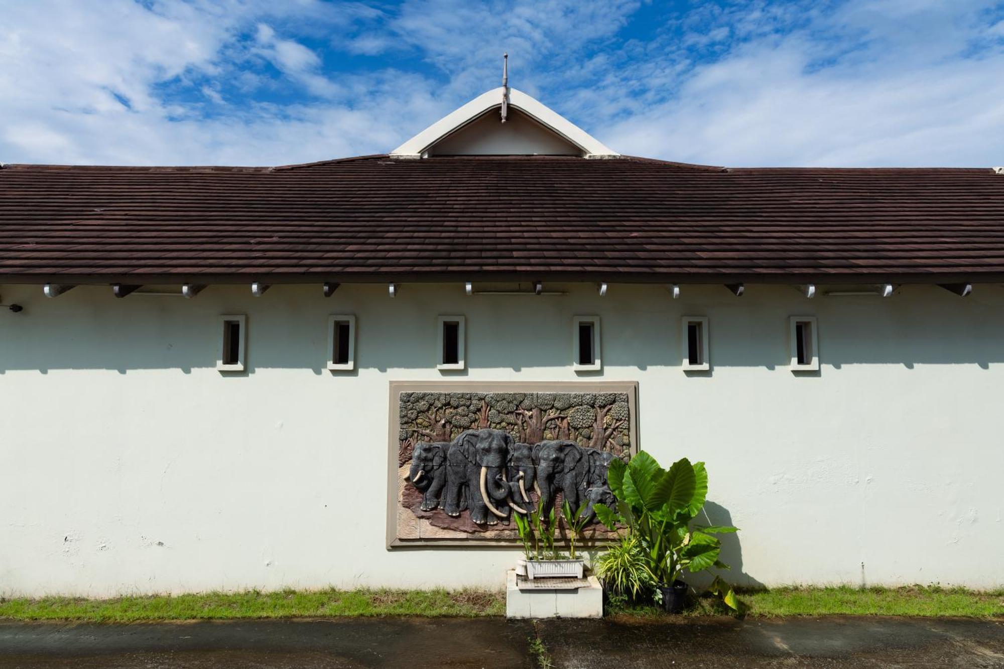 Sleep Hotel - Sha Certified Surat Thani Bagian luar foto
