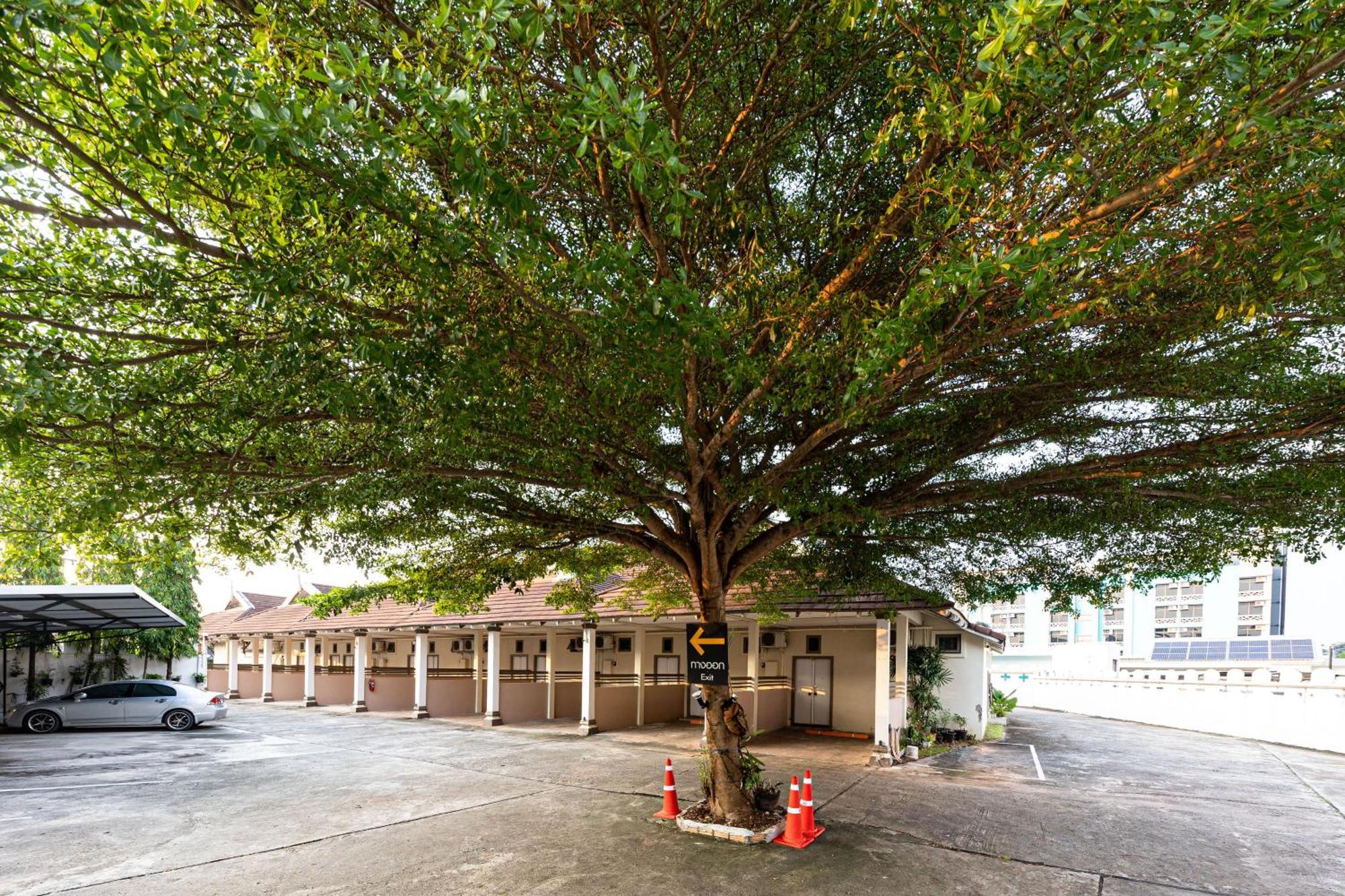 Sleep Hotel - Sha Certified Surat Thani Bagian luar foto